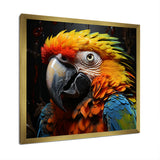 Yellow and blue Parrot portrait photo - Yellow Parrot Wall Art