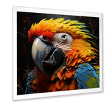 Yellow and blue Parrot portrait photo - Yellow Parrot Wall Art