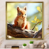 Forest cute Squirrel - Squirrel Large Canvas Wall Art