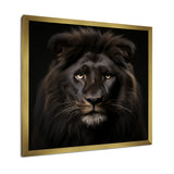 Midnight black lion - Lion Canvas Wall Art