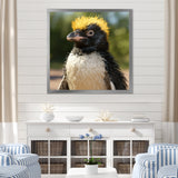 Penguin photo portrait - Black Penguin Wall Art