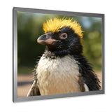 Penguin photo portrait - Black Penguin Wall Art