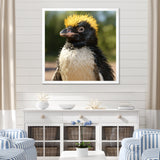 Penguin photo portrait - Black Penguin Wall Art