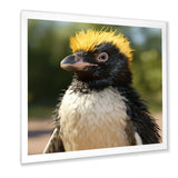 Penguin photo portrait - Black Penguin Wall Art