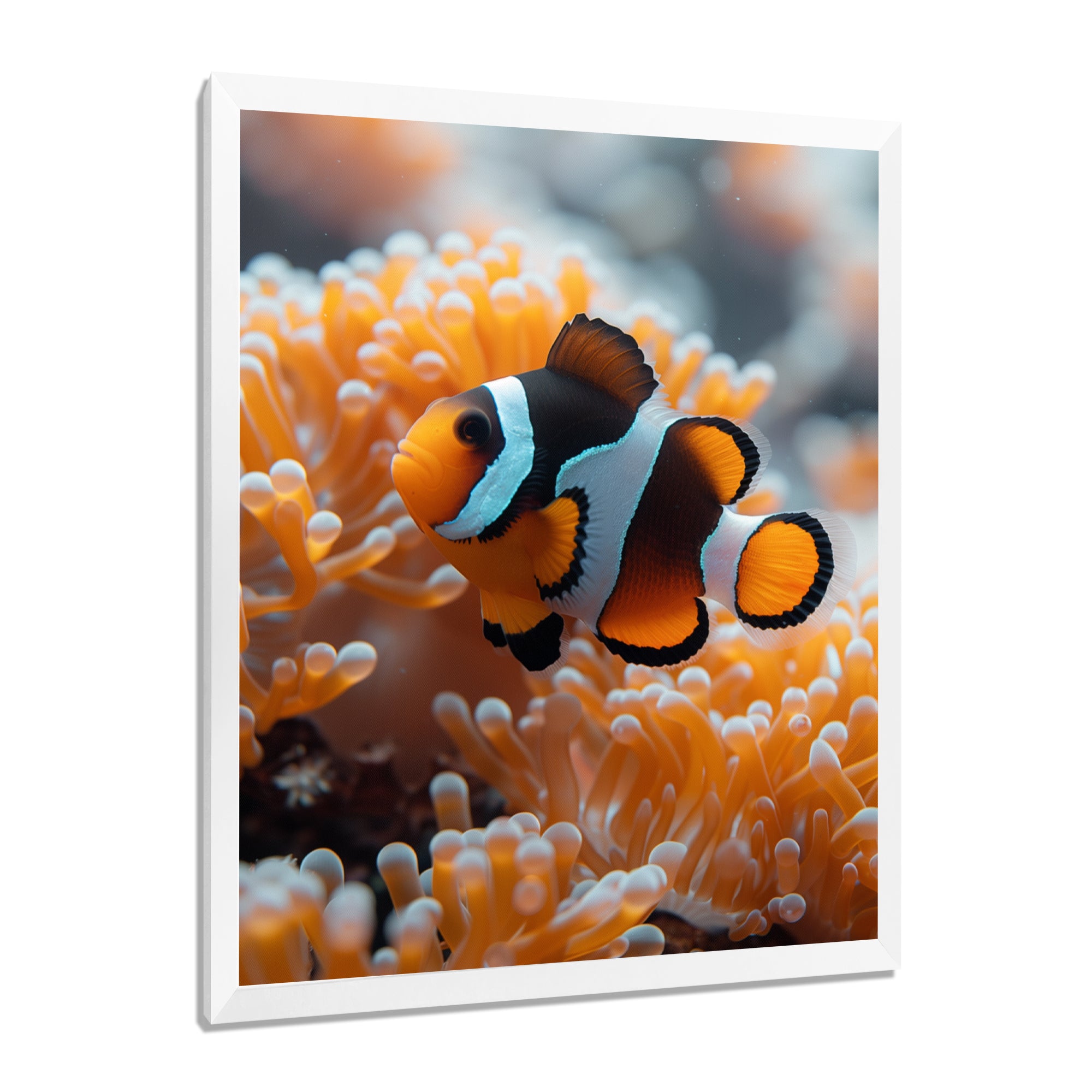 Orange white coral clown fish Marvel - Coral Bedroom Wall Art