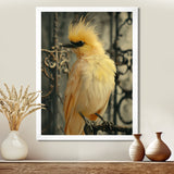 Yellow black Caged Bird elegance - Bird Canvas Wall Art