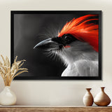 Red black Whispers Bird of Paradise - Bird Bedroom Wall Art