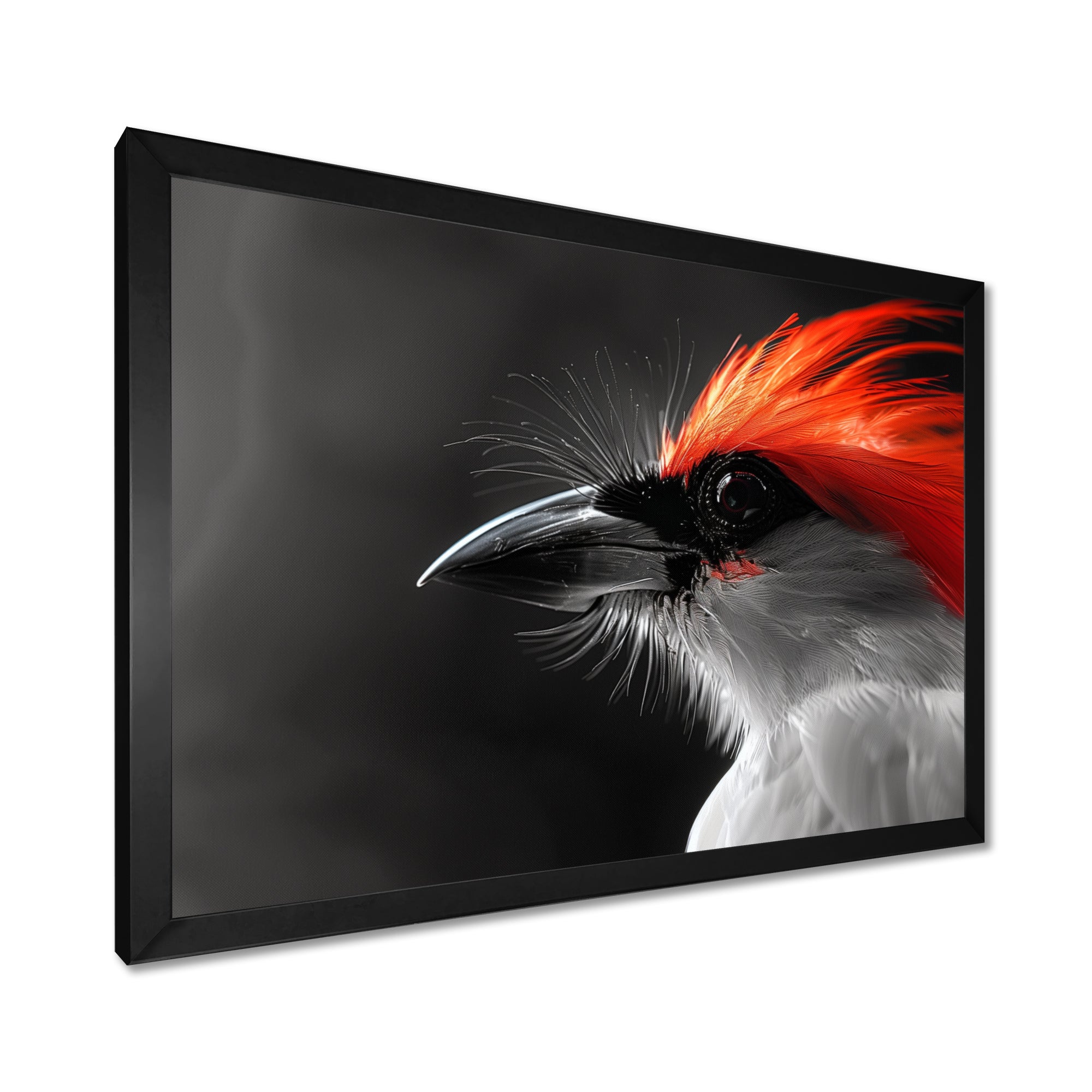 Red black Whispers Bird of Paradise - Bird Bedroom Wall Art