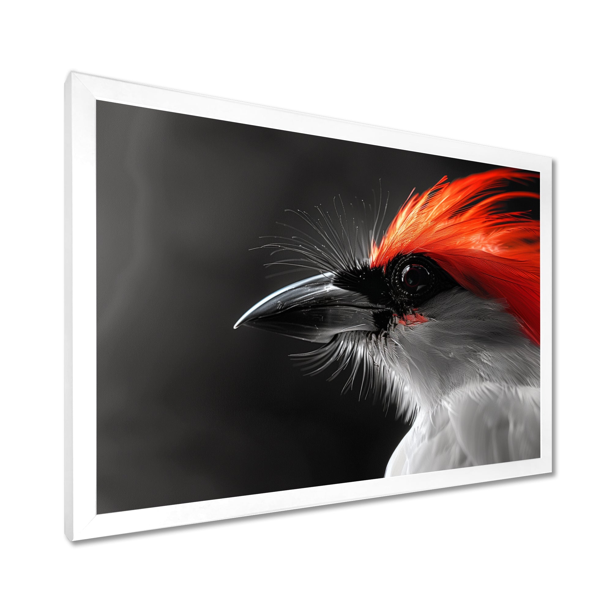 Red black Whispers Bird of Paradise - Bird Bedroom Wall Art