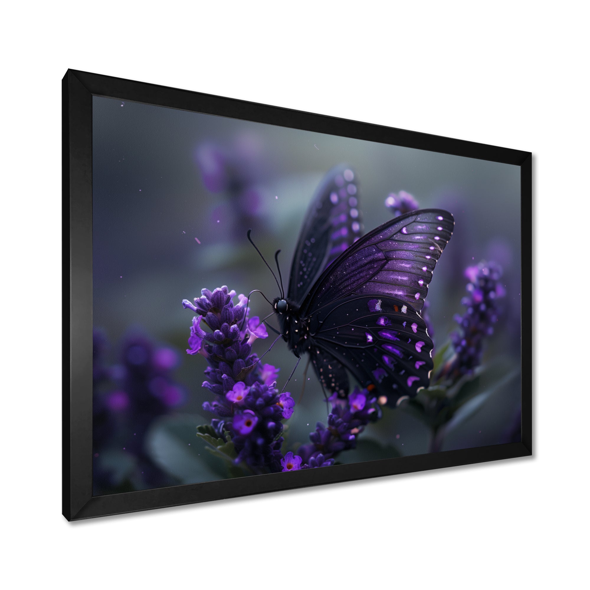 Purple black Butterfly beauty on flower - Butterfly Canvas Wall Art
