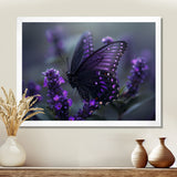 Purple black Butterfly beauty on flower - Butterfly Canvas Wall Art