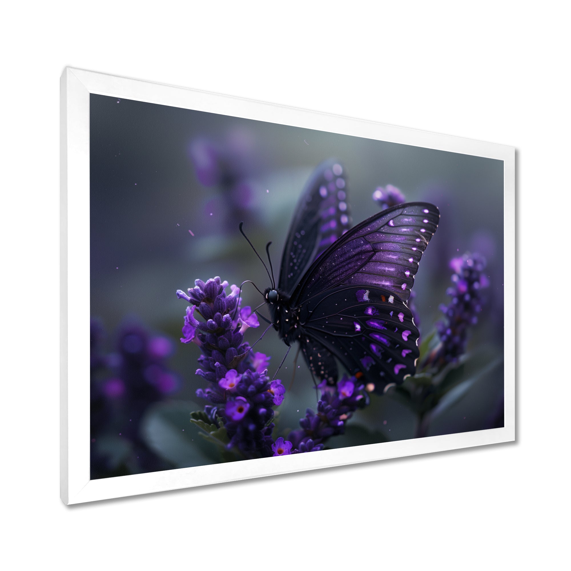 Purple black Butterfly beauty on flower - Butterfly Canvas Wall Art