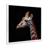 Brown giraffe profile on black - White Giraffe Wall Art