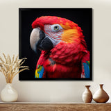 Red and orange parrot portrait on black - Parrot Canvas Wall Art