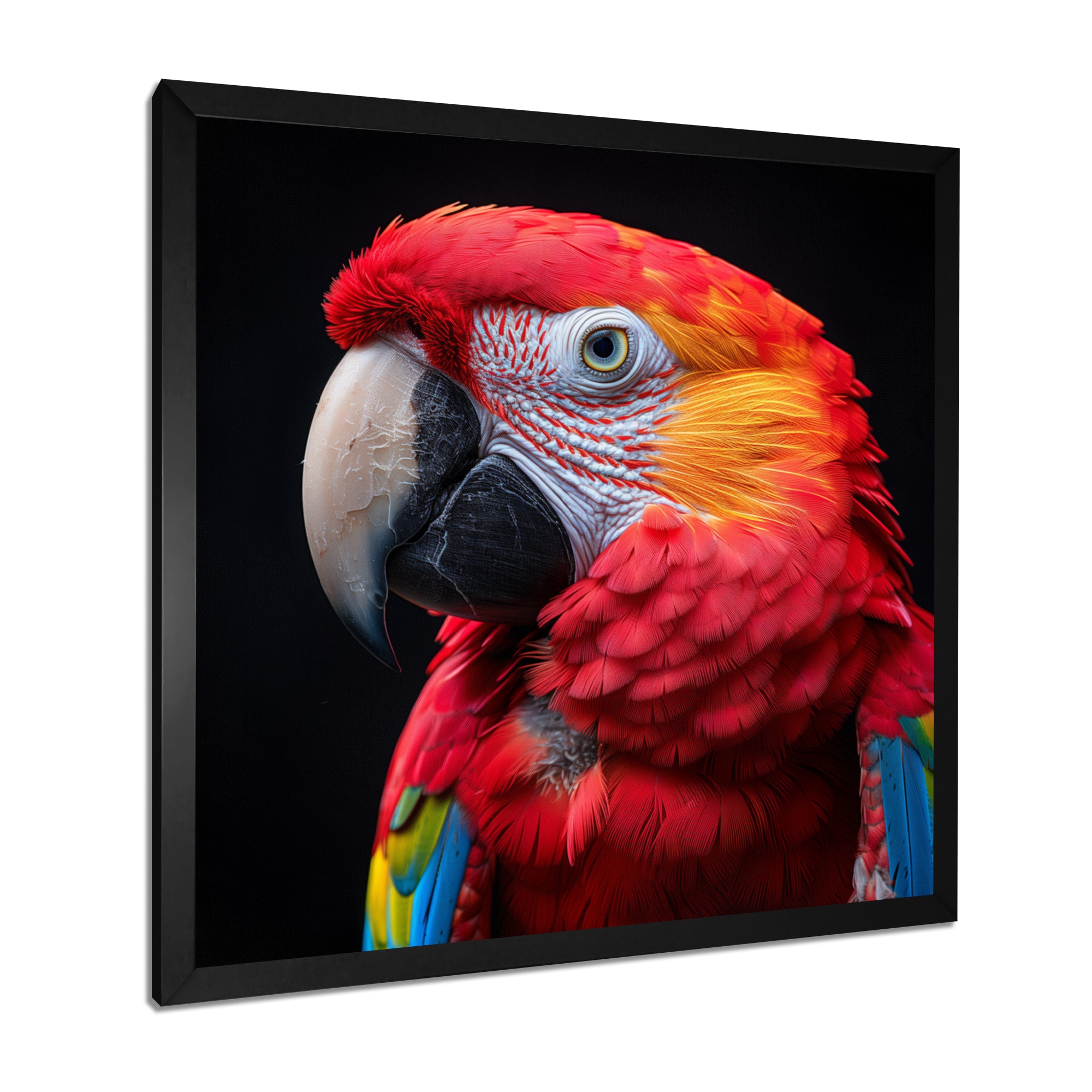 Red and orange parrot portrait on black - Parrot Canvas Wall Art