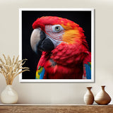Red and orange parrot portrait on black - Parrot Canvas Wall Art