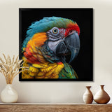 Green and yellow parrot portrait on black - Parrot Wall Decor