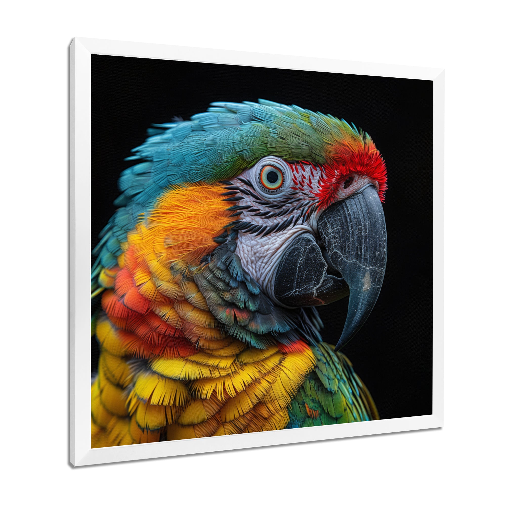 Green and yellow parrot portrait on black - Parrot Wall Decor