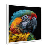 Green and yellow parrot portrait on black - Parrot Wall Decor