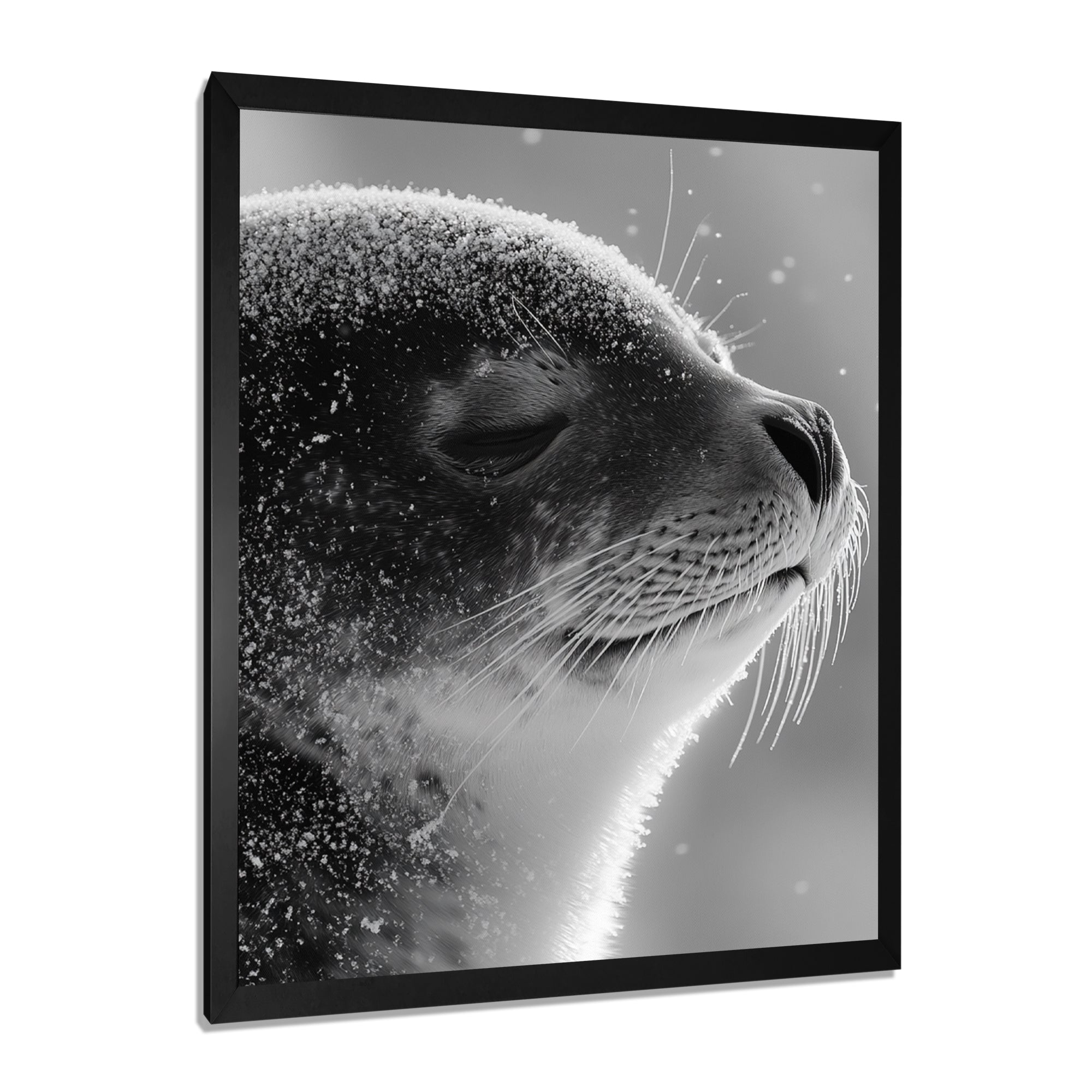 Monochrome Black Seal Accented With Grey - Seal Wall Decor