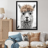 Curious Alpaca - Beige Alpaca Wall Art