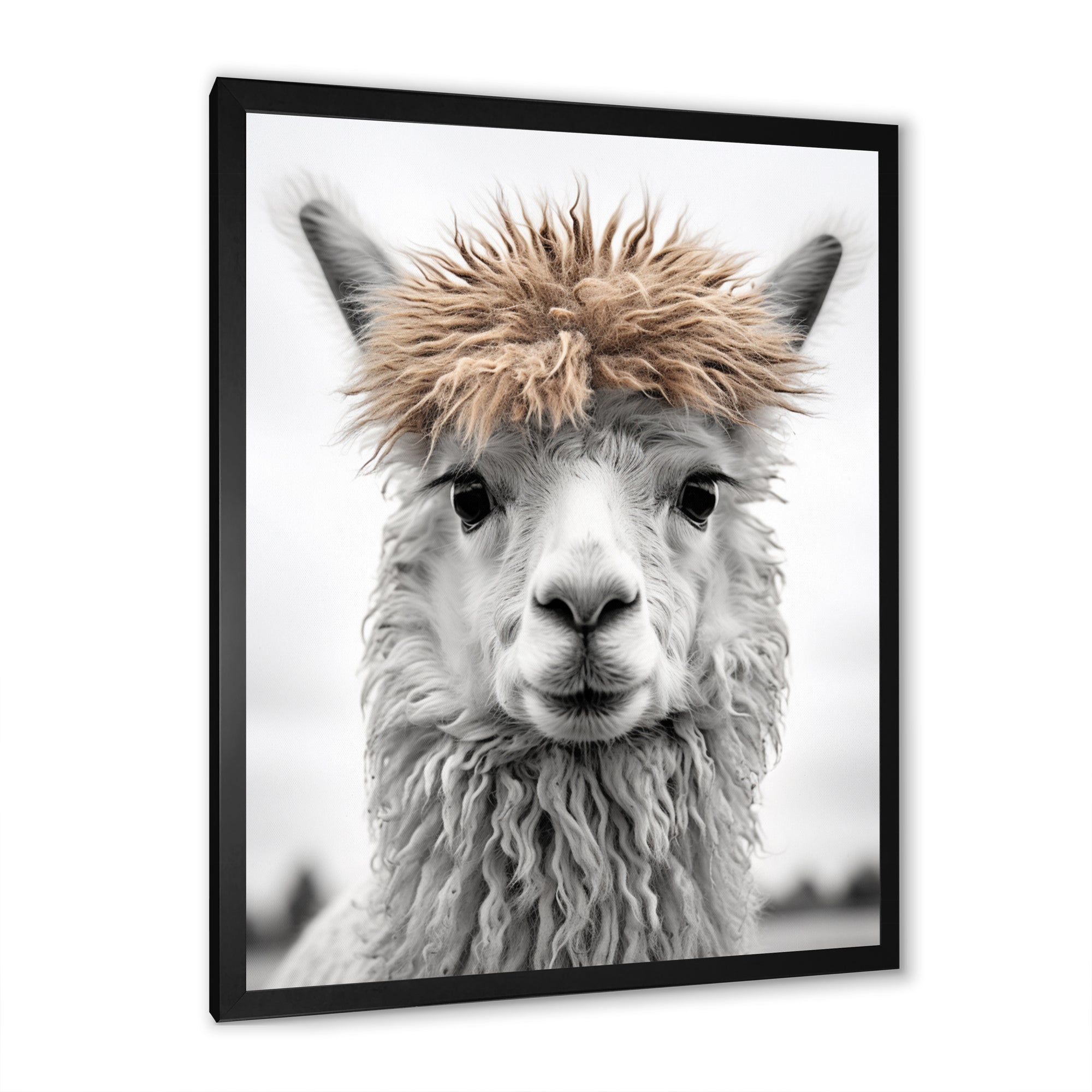 Curious Alpaca - Beige Alpaca Wall Art