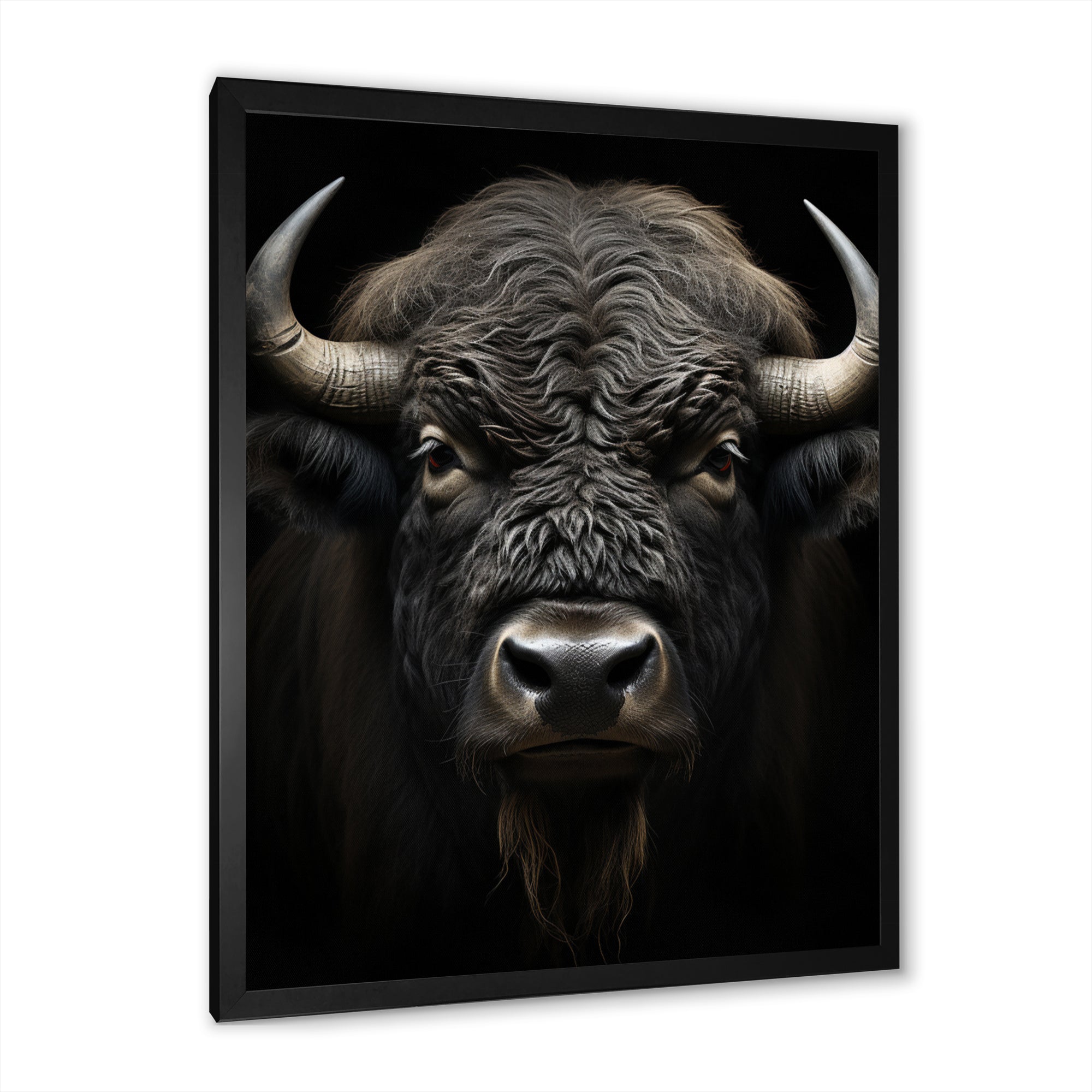 Black White Animal Buffalo Bison - Buffalo Wall Art Prints