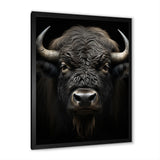 Black White Animal Buffalo Bison - Buffalo Wall Art Prints
