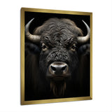Black White Animal Buffalo Bison - Buffalo Wall Art Prints
