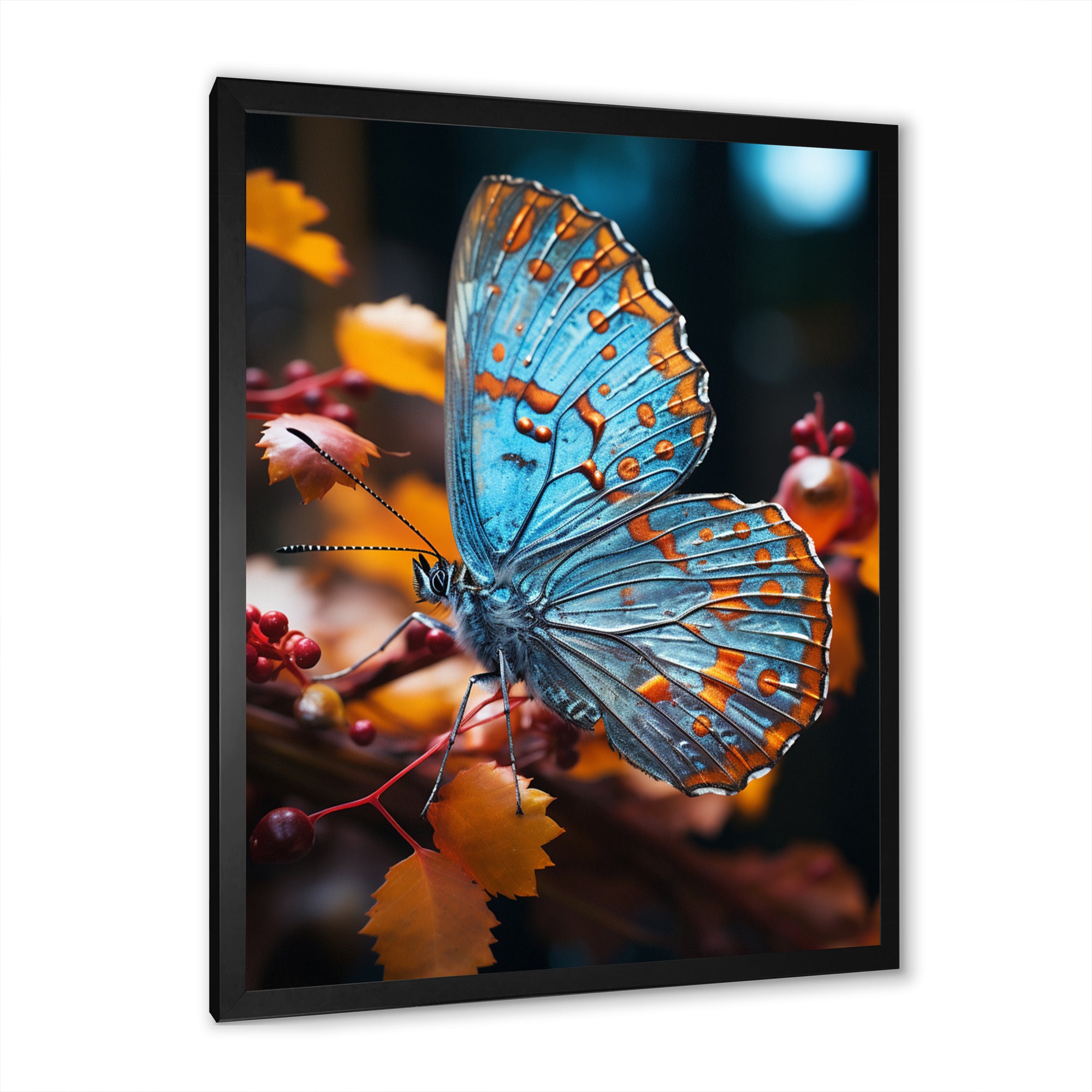 Turquoise Yellow Animal Butterfly - Butterfly Wall Art Prints