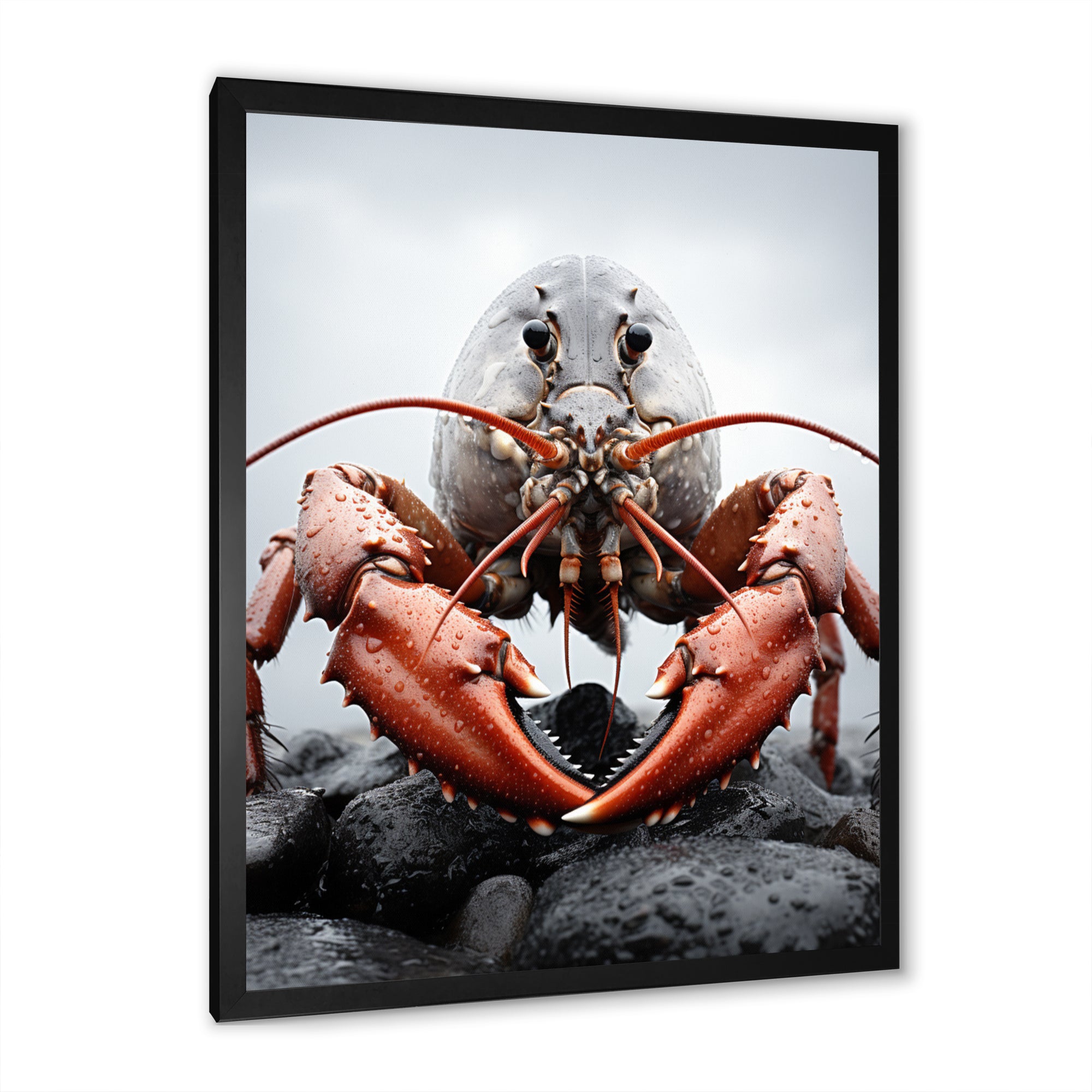 Coral Grey Animal Lobster - Lobster Wall Decor