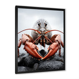 Coral Grey Animal Lobster - Lobster Wall Decor