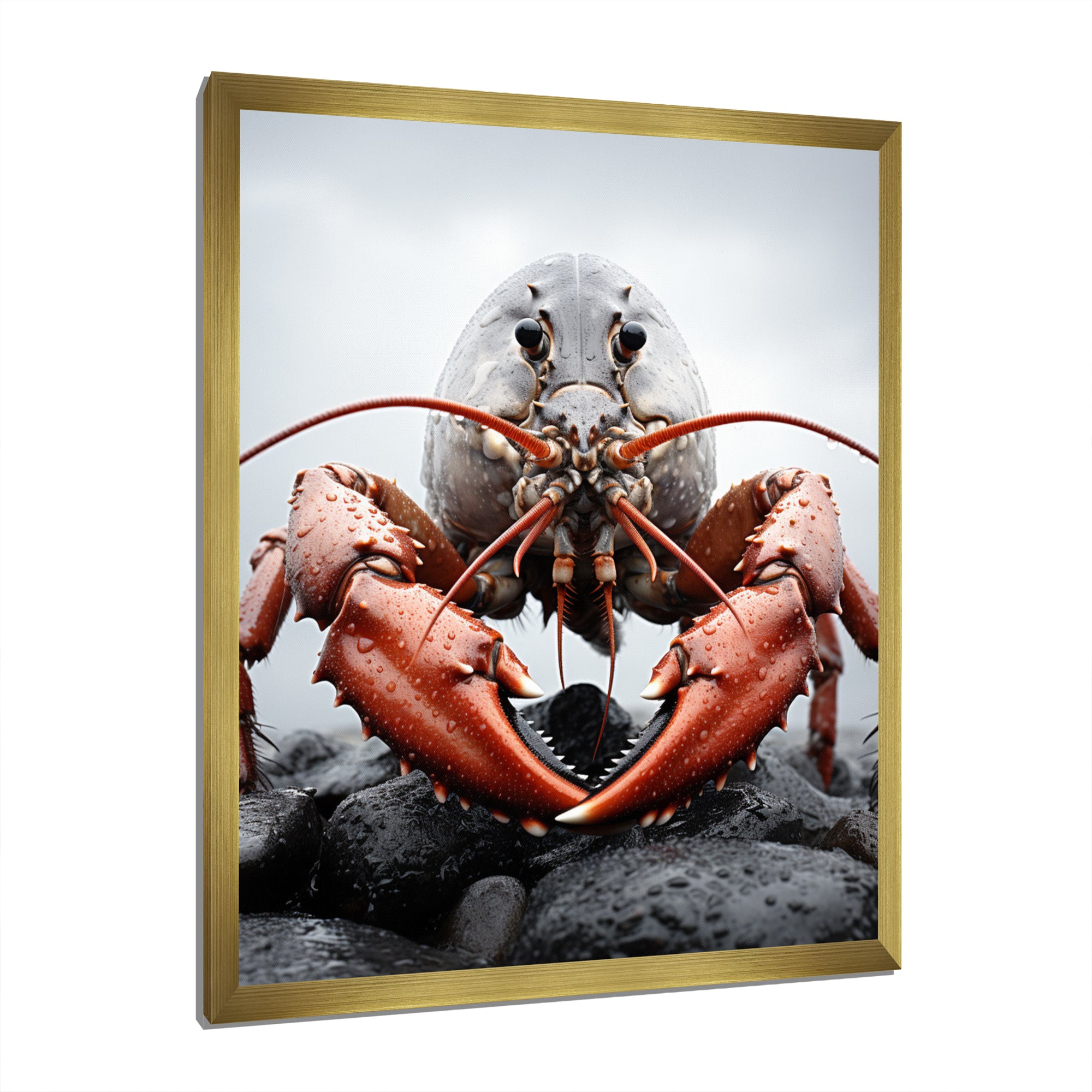 Coral Grey Animal Lobster - Lobster Wall Decor