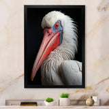 Coral White Animal Pelican Portrait - Pelican Wall Art Prints