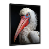 Coral White Animal Pelican Portrait - Pelican Wall Art Prints