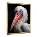 Coral White Animal Pelican Portrait - Pelican Wall Art Prints