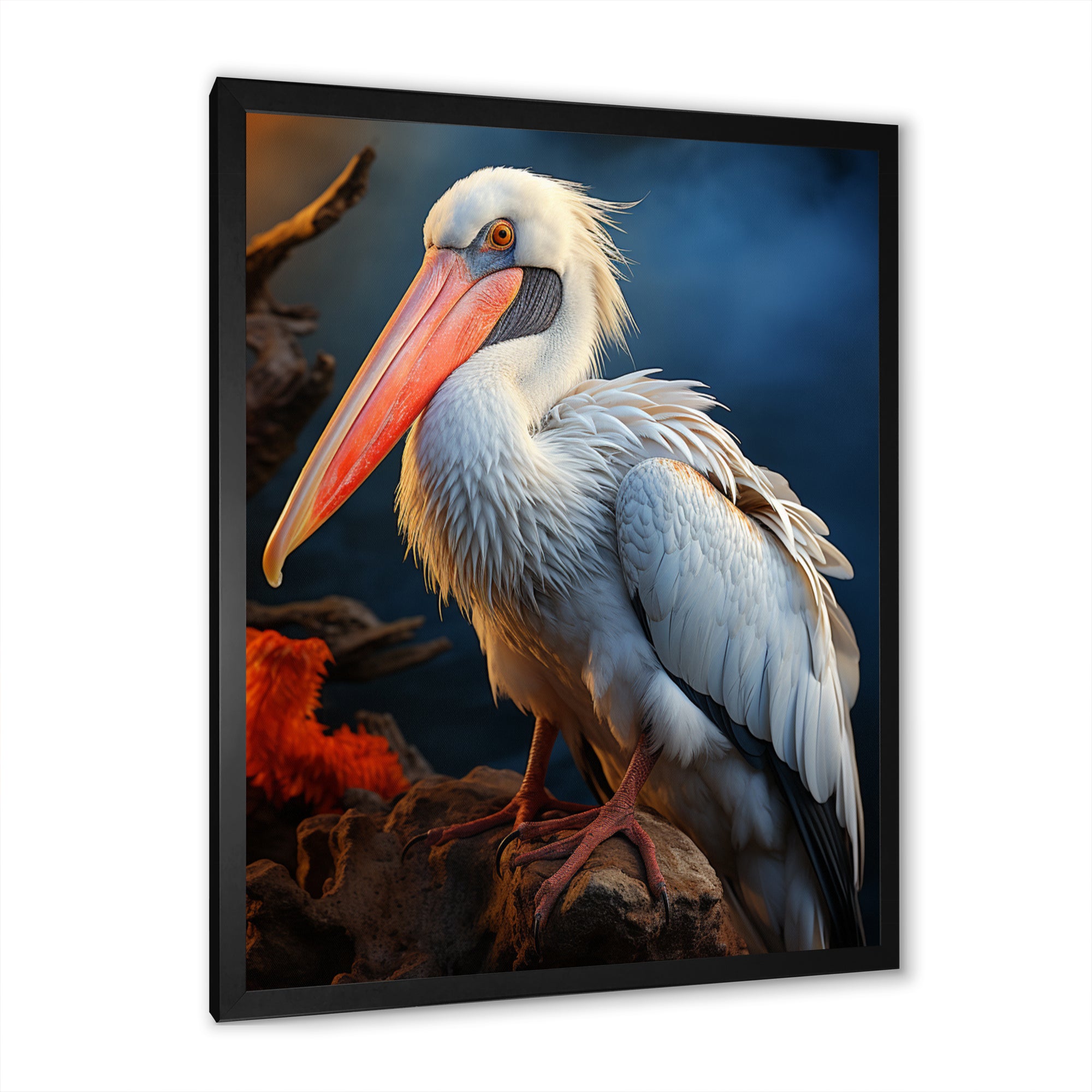 Coral White Animal Pelican - Pelican Wall Art Prints