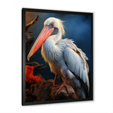 Coral White Animal Pelican - Pelican Wall Art Prints