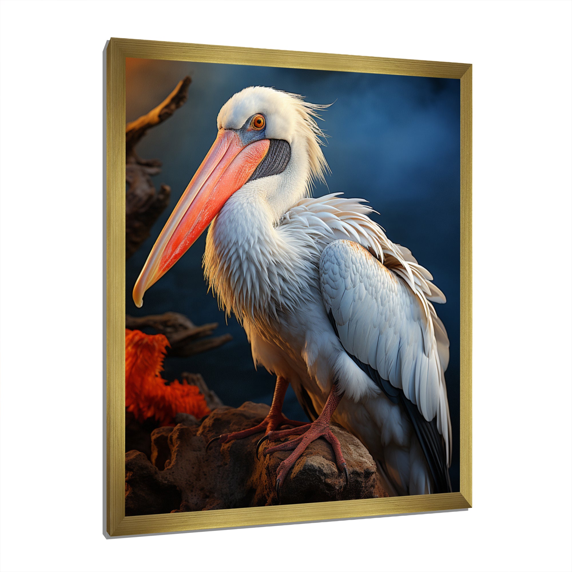 Coral White Animal Pelican - Pelican Wall Art Prints