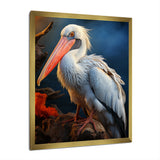 Coral White Animal Pelican - Pelican Wall Art Prints