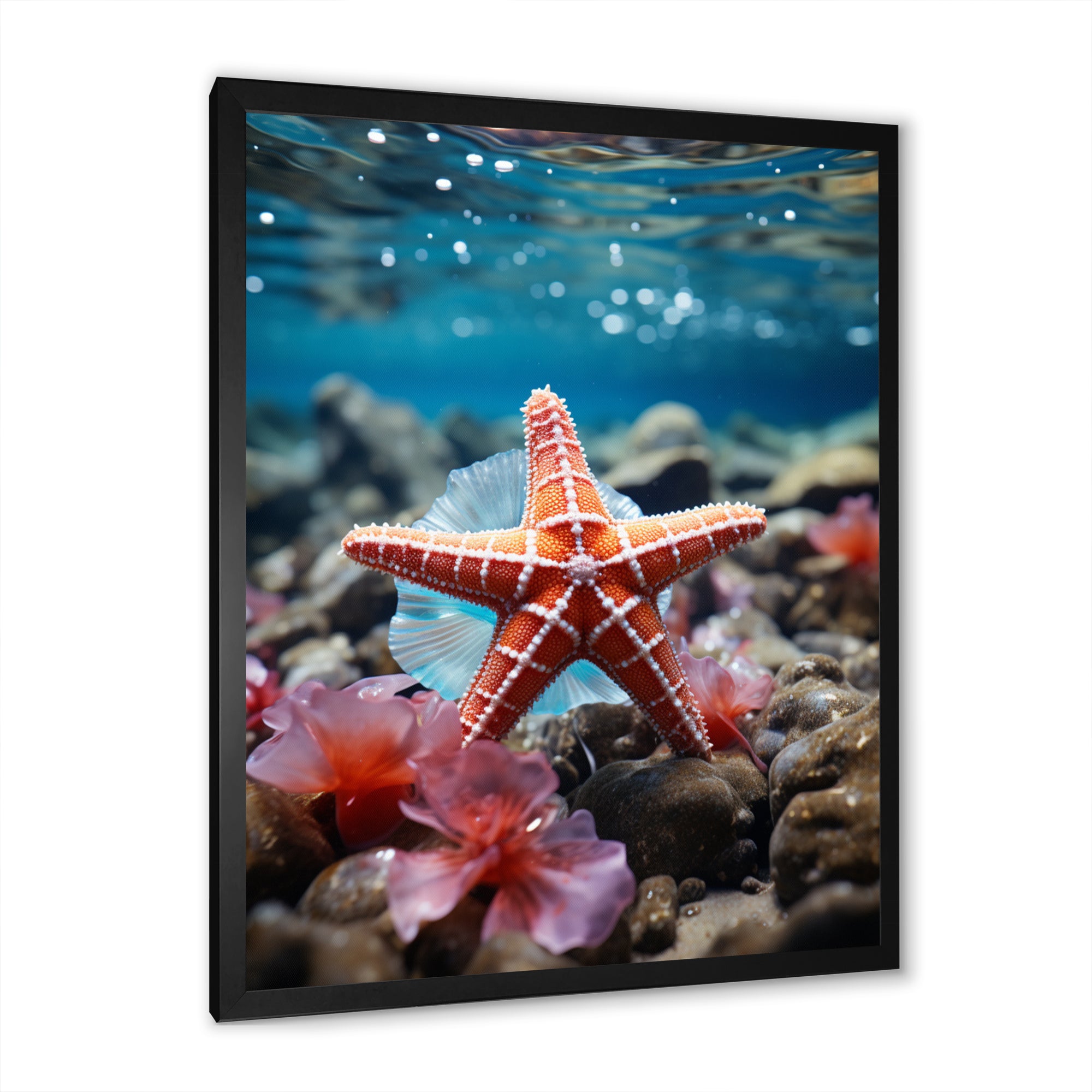 Coral Teal Starfish - Starfish Wall Decor