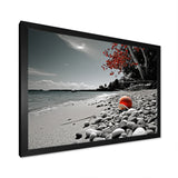 Grey Red Beach Seashell Symphony - Seashell Canvas Wall Art