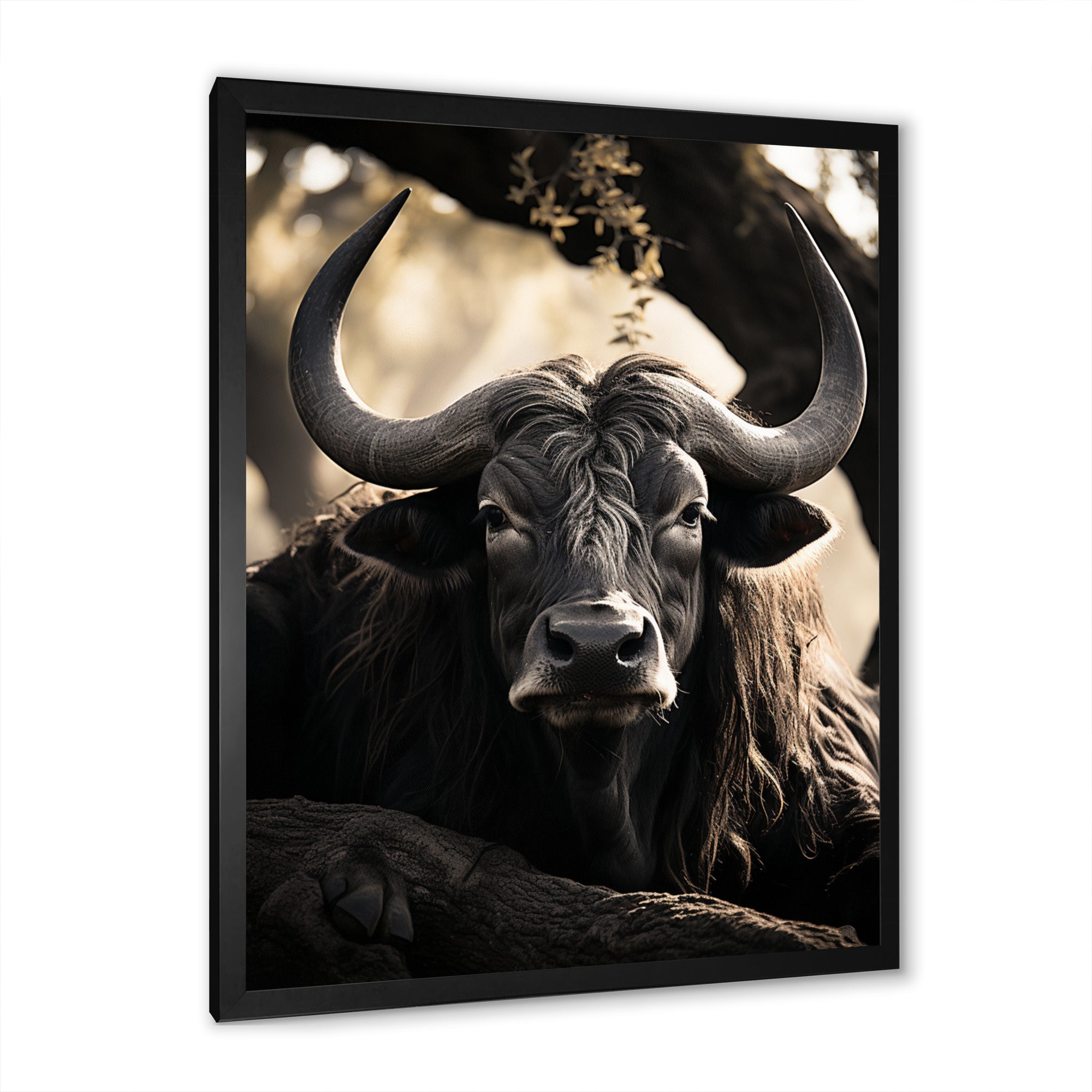 Grey Buffalo Serenity In Shadows - Gray Buffalo Wall Art