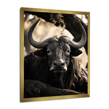 Grey Buffalo Serenity In Shadows - Gray Buffalo Wall Art