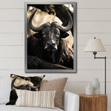 Grey Buffalo Serenity In Shadows - Gray Buffalo Wall Art