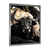 Grey Buffalo Serenity In Shadows - Gray Buffalo Wall Art