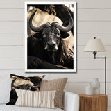 Grey Buffalo Serenity In Shadows - Gray Buffalo Wall Art