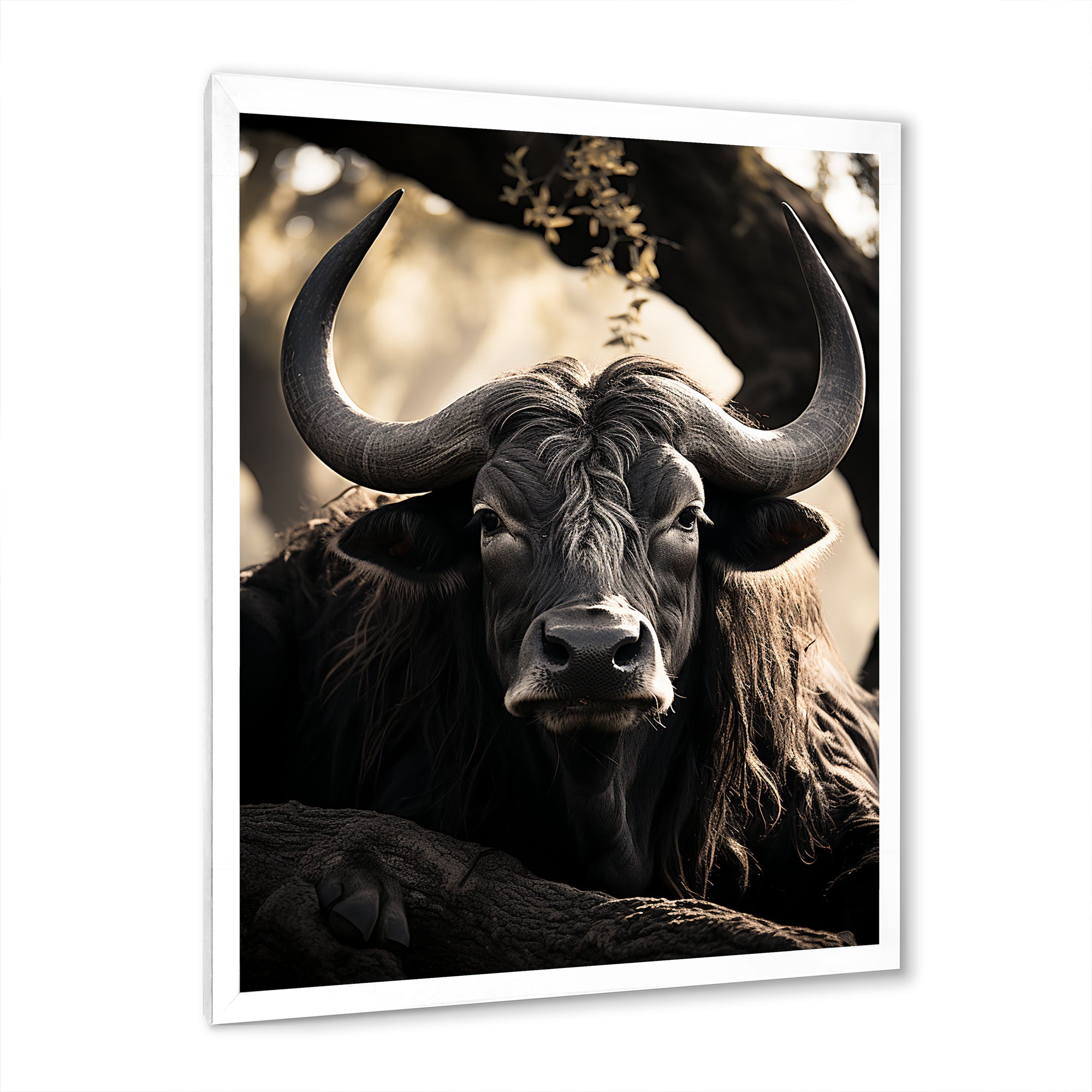Grey Buffalo Serenity In Shadows - Gray Buffalo Wall Art