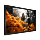 Orange Grey Butterfly Fluttering Grace - Orange Butterfly Wall Art