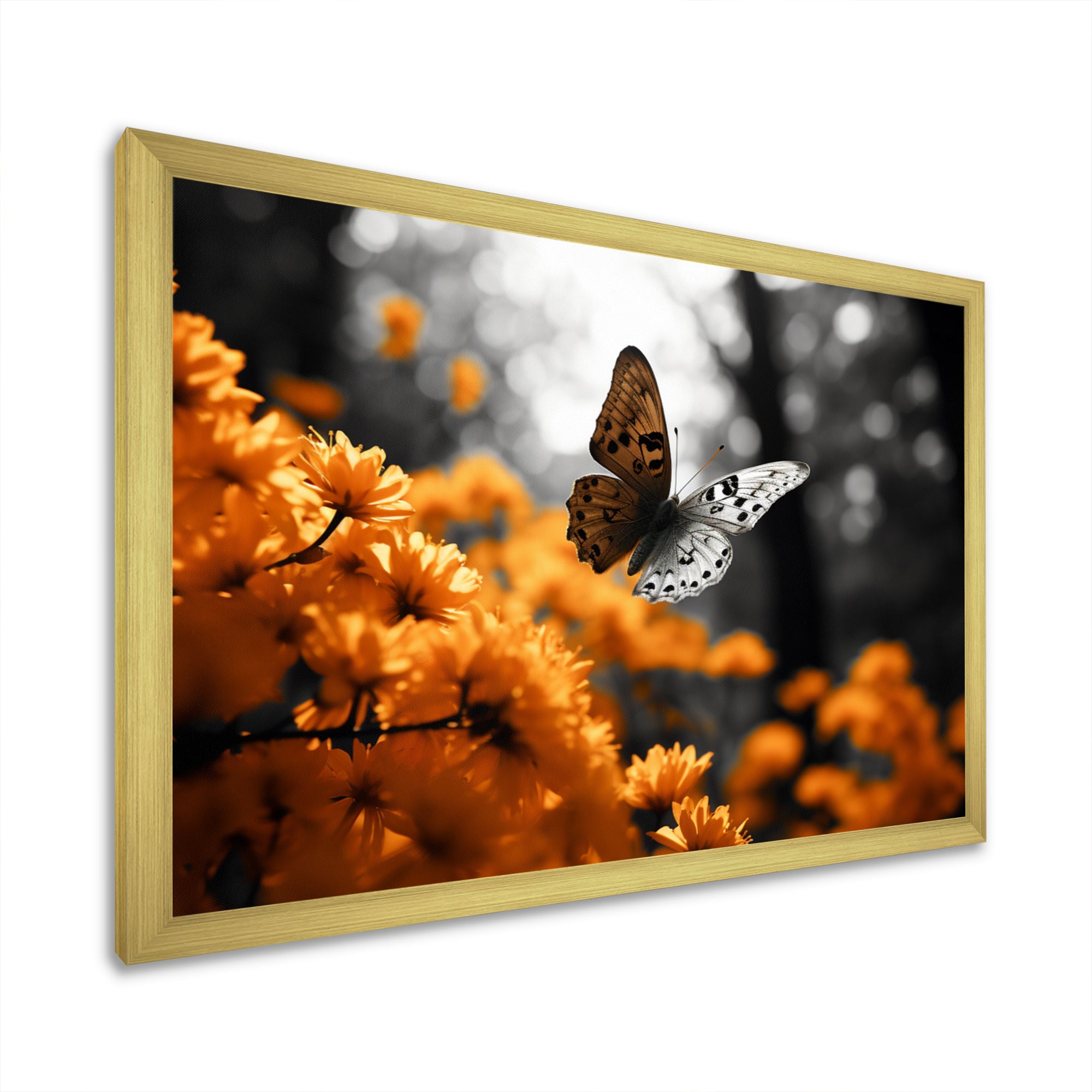 Orange Grey Butterfly Fluttering Grace - Orange Butterfly Wall Art